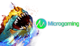 MicroGaming